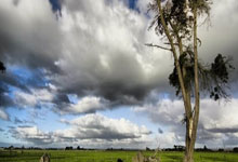 葡萄牙对阵加纳，这场世界杯对决有哪些看点和关键因素？